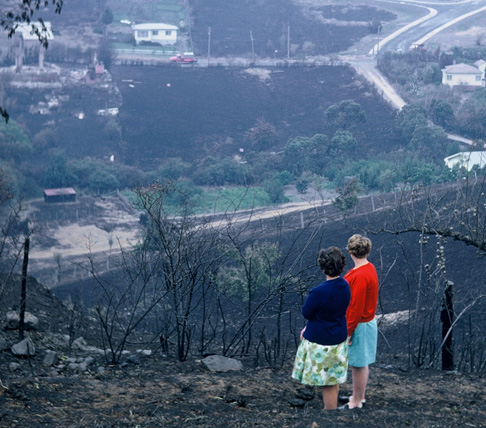 67 Bushfires