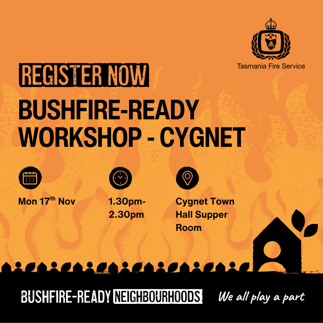 Cygnet Workshop 1