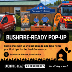 Cartoon image of TFS pop-up stall