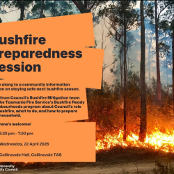 Image showing bushfire and explains purpose of Bushfire Preparedness Session