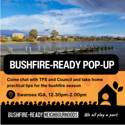 Bushfire -pop up ad with photo of swansea 